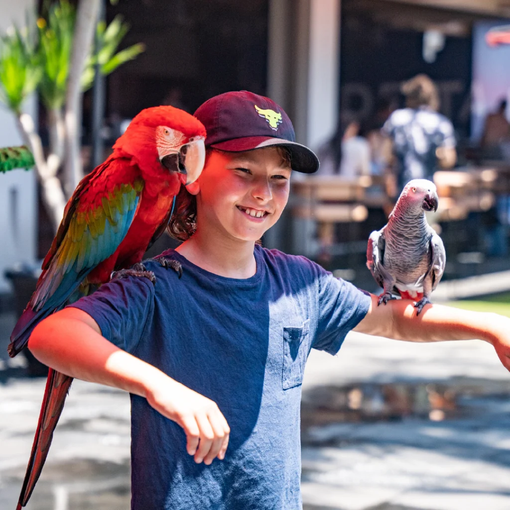 Meet and Greet with Birds at Ku De Ta Family Sunday